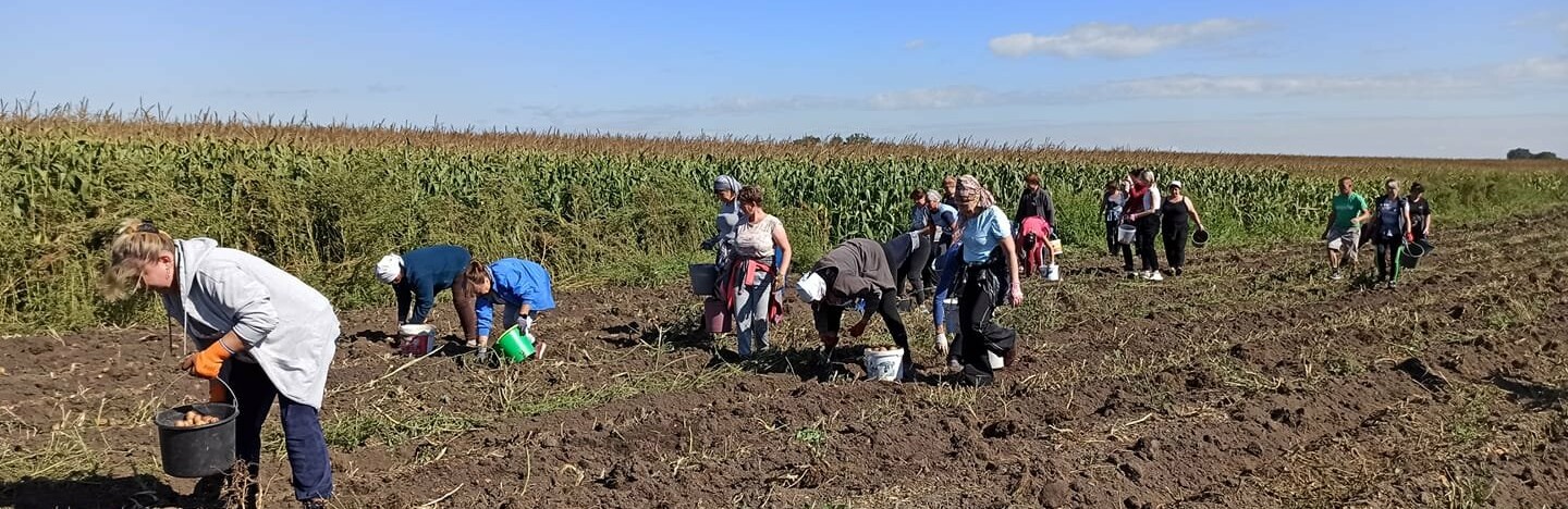 Здовбицькі «Сади Перемоги» вже принесли врожай