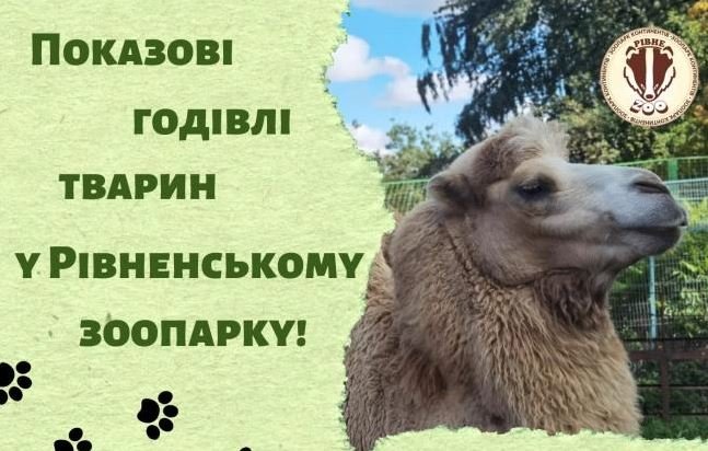 У Рівненському зоопарку сьогодні показово годуватимуть тварин