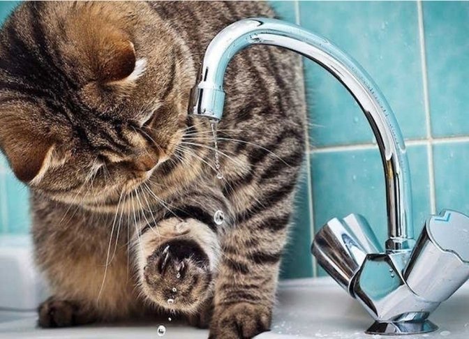 На Соборній у Рівному частково відсутнє водопостачання 