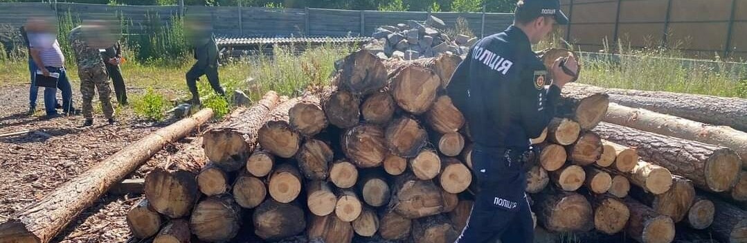 На Сарненщині нещадно крадуть ліс