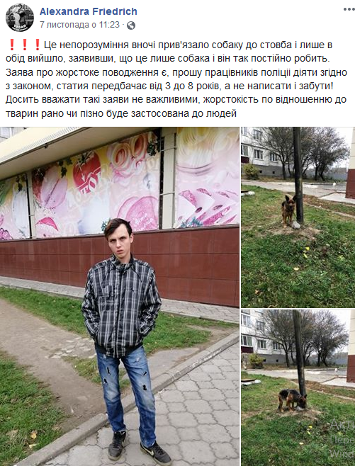 У Рівному підліток жорстоко поводиться з власним собакою (Ф..., фото-1 У Рівному підліток жорстоко поводиться з власним собакою (ФОТО) , фото-1