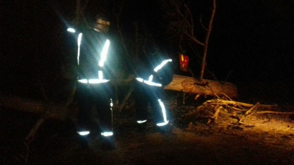 На Рівненщині рятувальники звільняли дорогу від поваленого..., фото-1 На Рівненщині рятувальники звільняли дорогу від поваленого дерева (ФОТО), фото-1