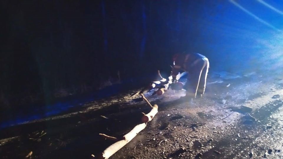 На Рівненщині рятувальники звільняли дорогу від поваленого..., фото-2 На Рівненщині рятувальники звільняли дорогу від поваленого дерева (ФОТО), фото-2