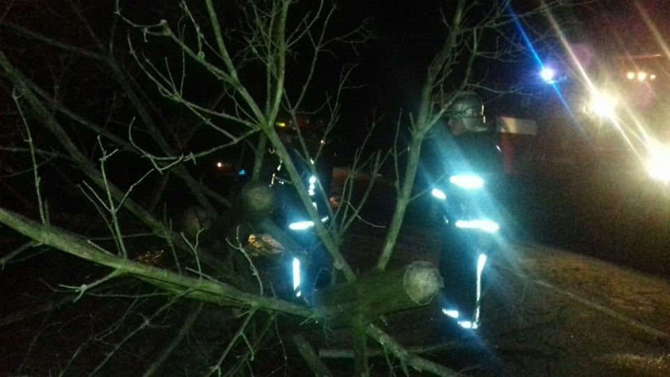 На Рівненщині рятувальники звільняли дорогу від поваленого..., фото-3 На Рівненщині рятувальники звільняли дорогу від поваленого дерева (ФОТО), фото-3