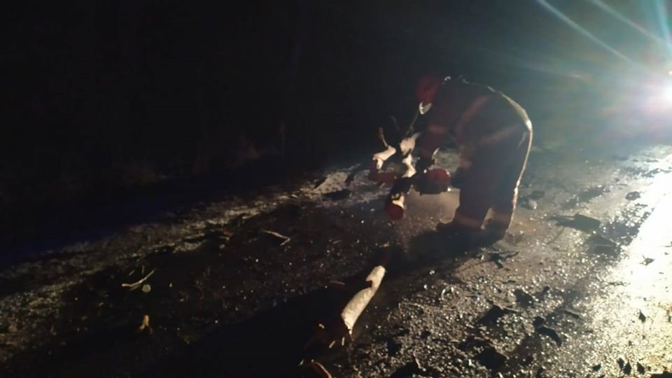 На Рівненщині рятувальники звільняли дорогу від поваленого..., фото-4 На Рівненщині рятувальники звільняли дорогу від поваленого дерева (ФОТО), фото-4