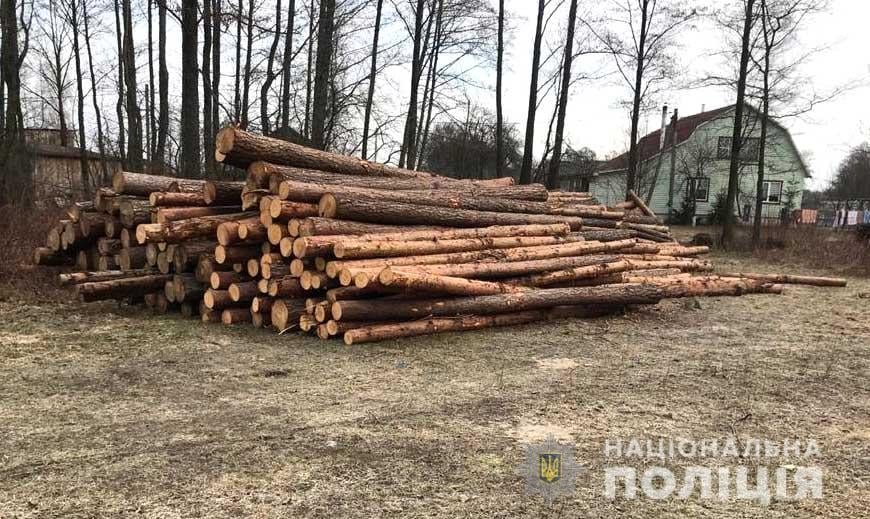 У 24-річного жителя Вараської громади знайшли ціле подвір'я деревини: звідки вона, з’ясовує поліція