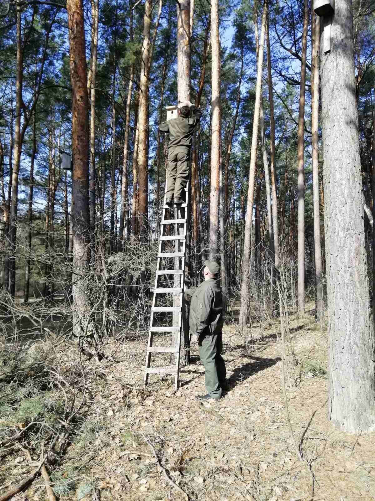 У Костополі лісівники разом з учнями зробили для птахів шпаківні