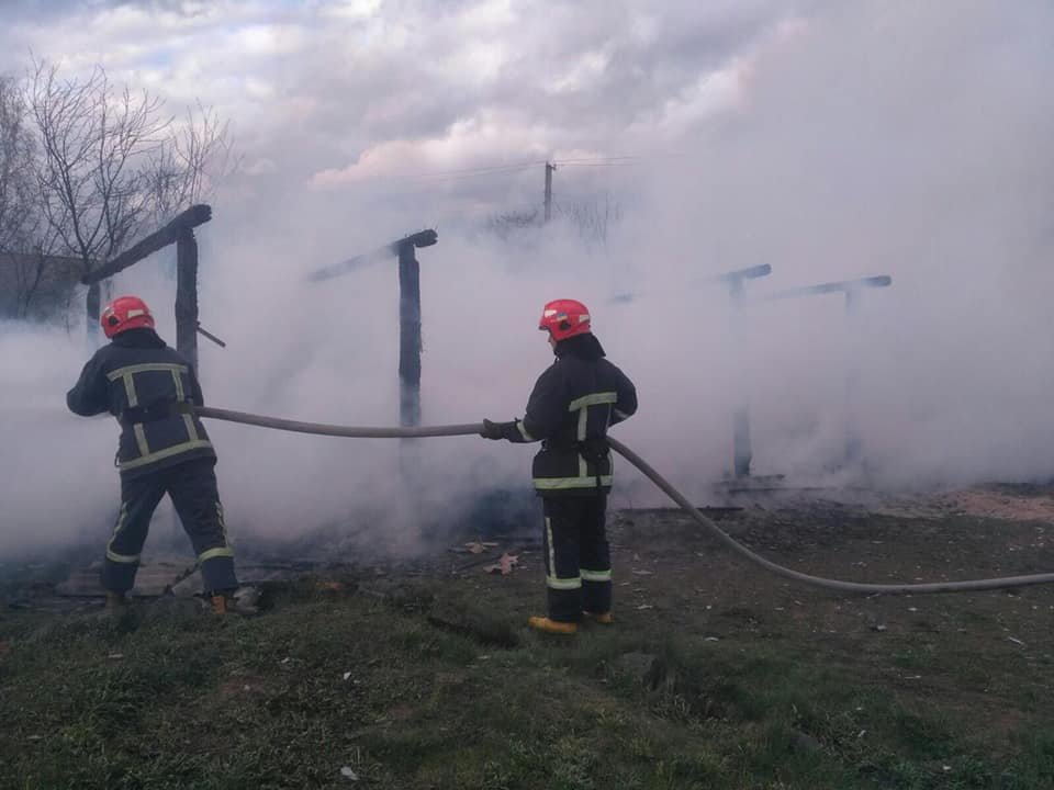 Залишилися самі пеньки: на Рокитнівщині в місцевих мешканців ущент згорів сарай (ФОТО), фото-3