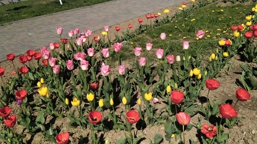 У Костополі комунальники займаються облагородженням міста:..., фото-1 У Костополі комунальники займаються облагородженням міста: готують до запуску фонтан, фото-1