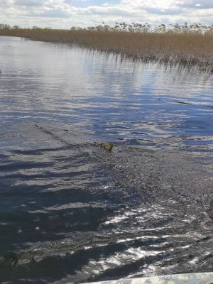 Майже кілометр сітки і не тільки: на Хрінницькому водосховищі рибохоронці упіймали мешканців, які ловили рибу забороненими знаряддями