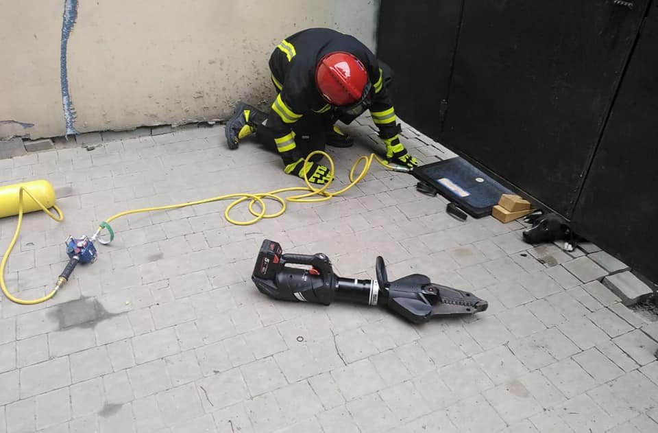 У Рівному пес застряг під металевою огорожею: діставали чотирилапого рятувальники