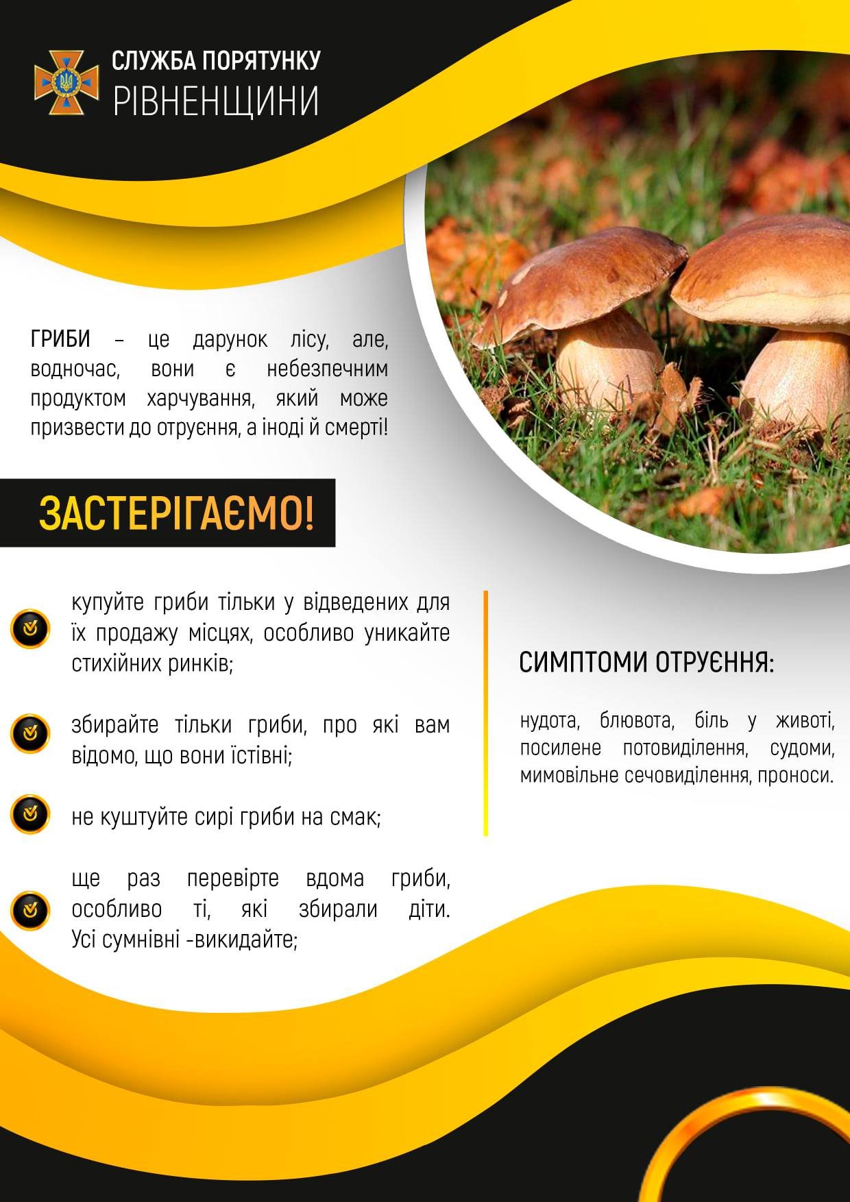 Правила безпеки під час вживання дикорослих грибів