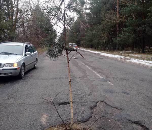 Водії з Рівненщини посадили дерево посеред глибокої вибоїни. Оригін... Водії з Рівненщини посадили дерево посеред глибокої вибоїни. Оригінальне нагадування "дорожникам" про потребу негайного ремонту , Степан Молчан