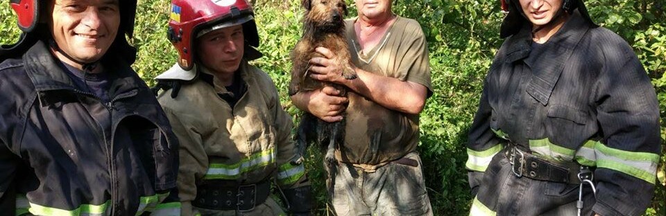 Як рівненські рятувальники цуцика з колодязя рятували Як рівненські рятувальники цуцика з колодязя рятували, Таїсія Олекшій