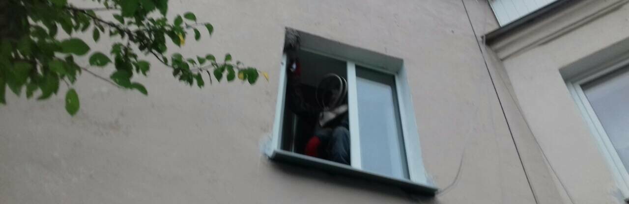 У Рівному рятувальники знищили кубло ос У Рівному рятувальники знищили кубло ос, Таїсія Олекшій