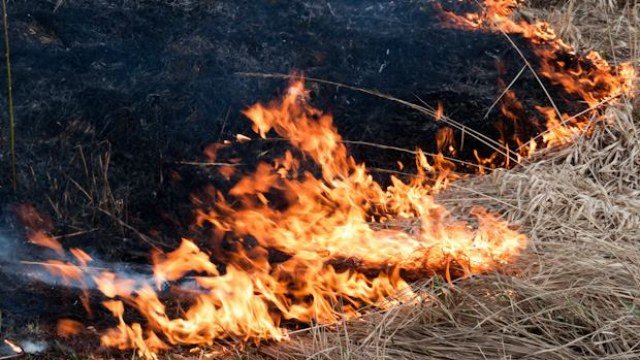 За добу рятувальники тричі виїжджали на ліквідацію пожеж на Рівненщ... За добу рятувальники тричі виїжджали на ліквідацію пожеж на Рівненщині, Інна Тунєва