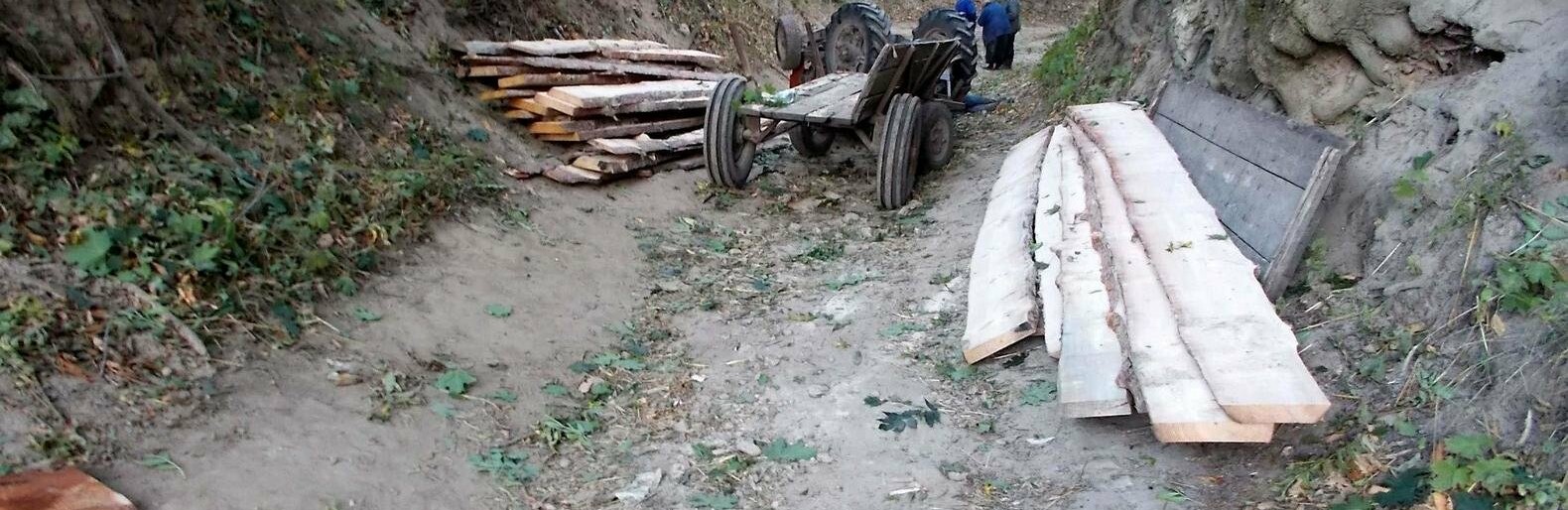 Поліція розслідує загибель тракториста у Здолбунівському районі Поліція розслідує загибель тракториста у Здолбунівському районі, Таїсія Олекшій