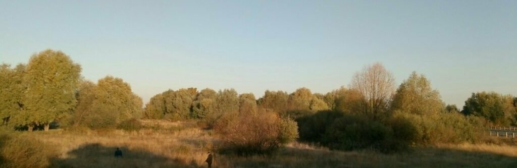 На Рівненщині чоловік вигулював собаку і знайшов труп жінки На Рівненщині чоловік вигулював собаку і знайшов труп жінки, Таїсія Олекшій