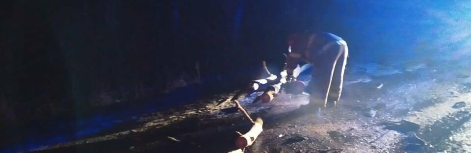 На Рівненщині рятувальники звільняли дорогу від поваленого дерева (... На Рівненщині рятувальники звільняли дорогу від поваленого дерева (ФОТО)