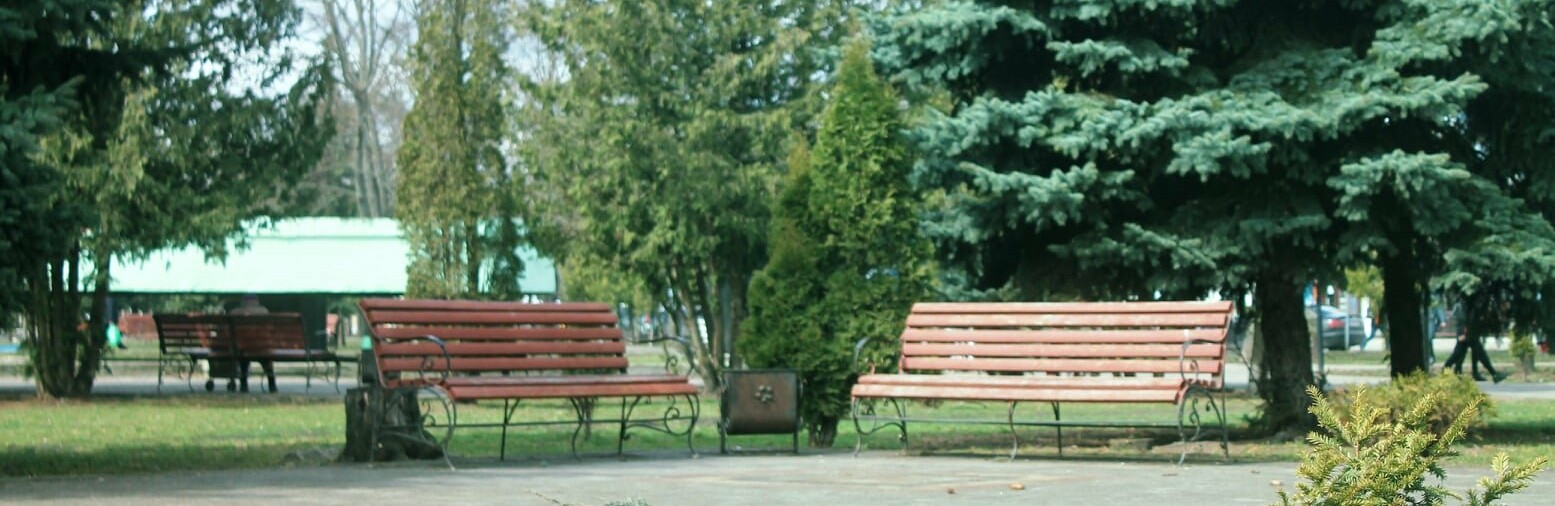 Масове прибирання вулиць організують і в Сарнах