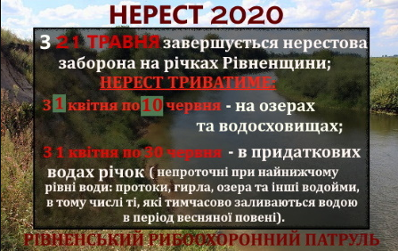 На Рівненщині припиняє діяти нерестова заборона: що це означає для рибалок