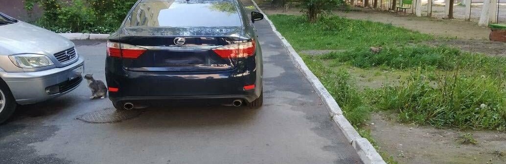 У Рівному сталася ДТП: загинула пенсіонерка