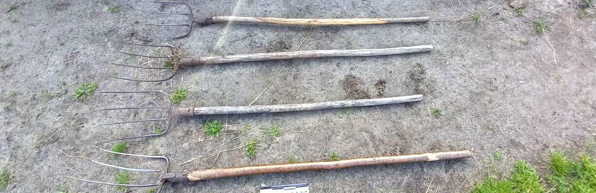 Деталі нападу чоловіка з вилами на поліцейського на Рівненщині 