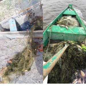 Попри заборону: в Рівному на Басовому куті двоє чоловіків хотіли наловити раків... руками