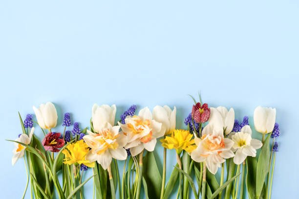 доставка квітів Київ