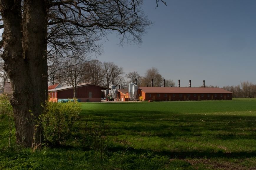 Factory-farming