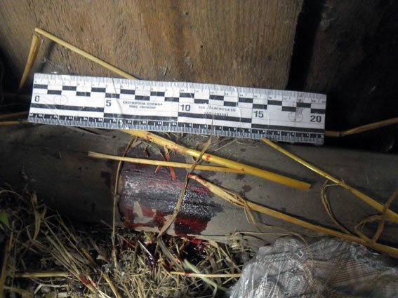 На Рівненщині чоловік хотів повернути дружину, а отримав сокирою по  голові (ФОТО) (фото) - фото 3